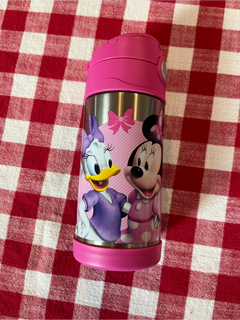 Thermos Pink Minnie & Daisy Stainless Steel Kids Bottle